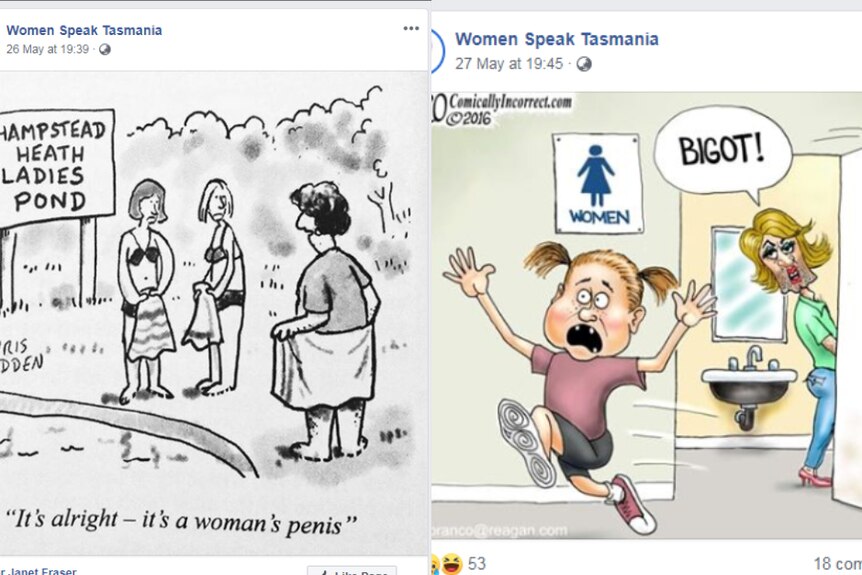 A composite image of posts from sentiment on Women Speak Tasmania social media
