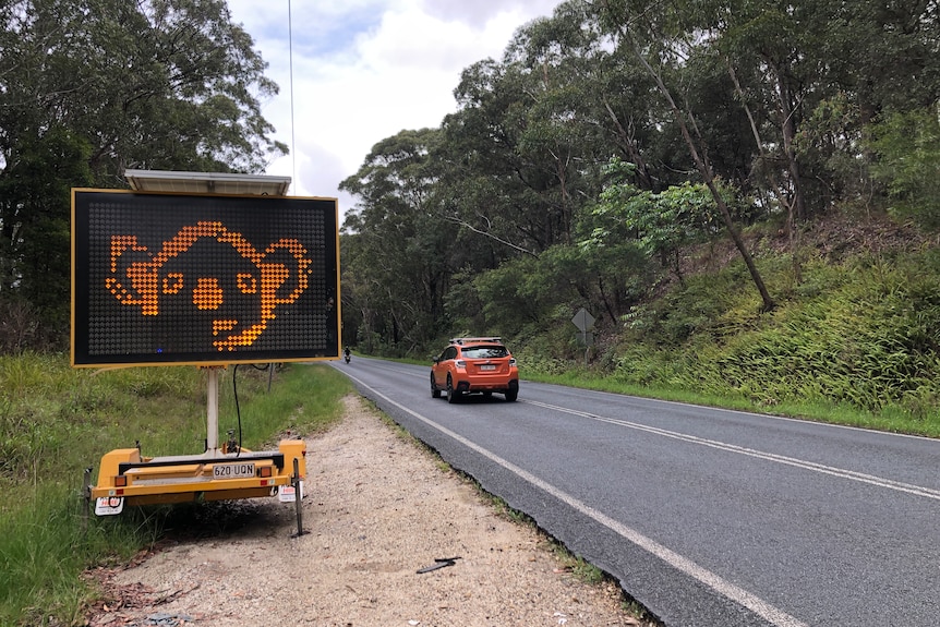 A tree-lined road with an electronic road sign on the roadside depicting a koalas face.