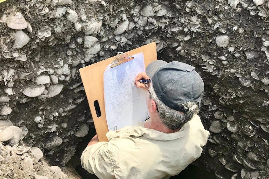 A man inside a large hole, with shells poking out of the sides. He has a clipboard and is facing away from the camera. 