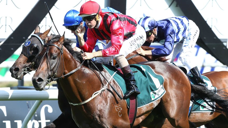 Hallowed Crown wins Randwick Guineas