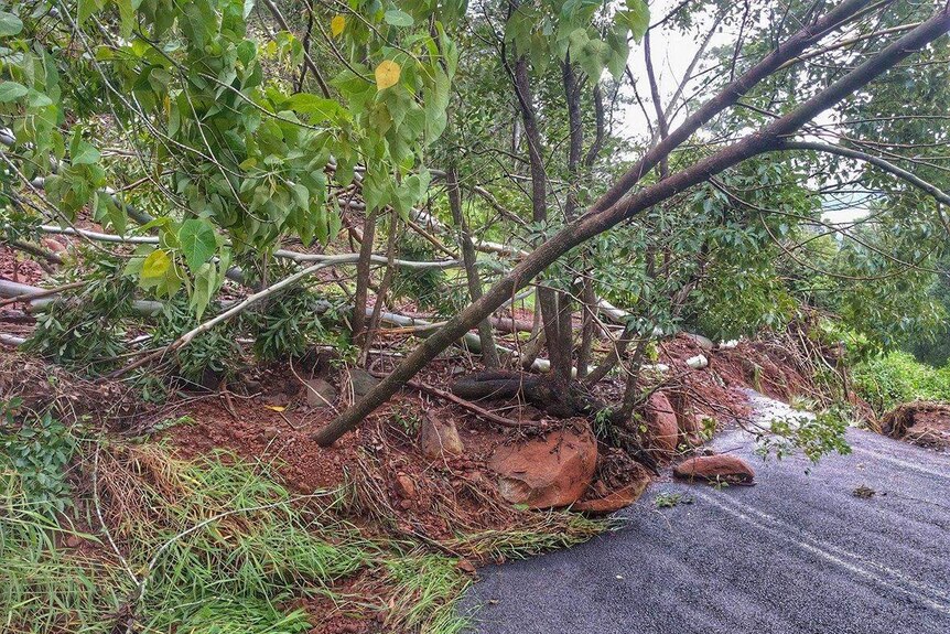 Severe weather on the NSW north coast caused this landslip at Koonorigan near Lismore.