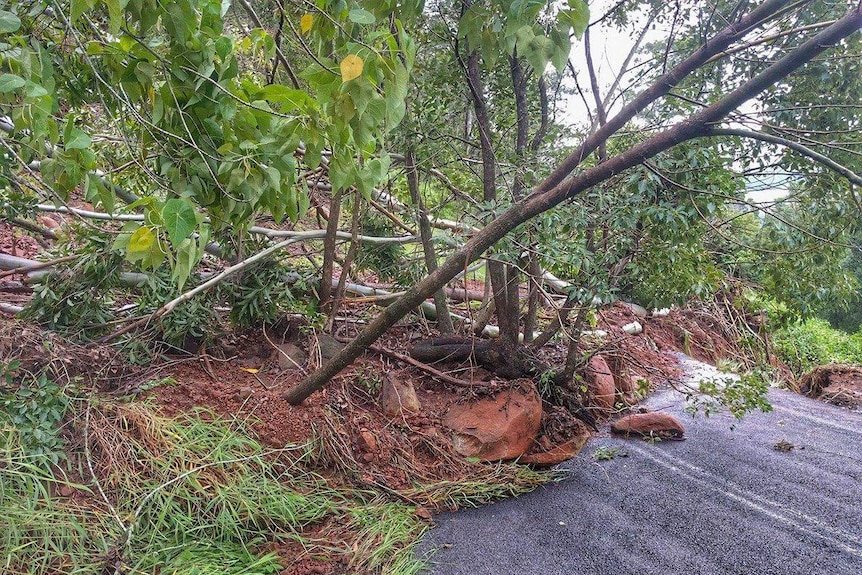Severe weather on the NSW north coast caused this landslip at Koonorigan near Lismore.
