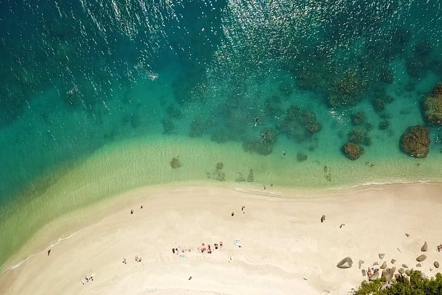 Aerial view of people on a beach on Fitzroy Island.