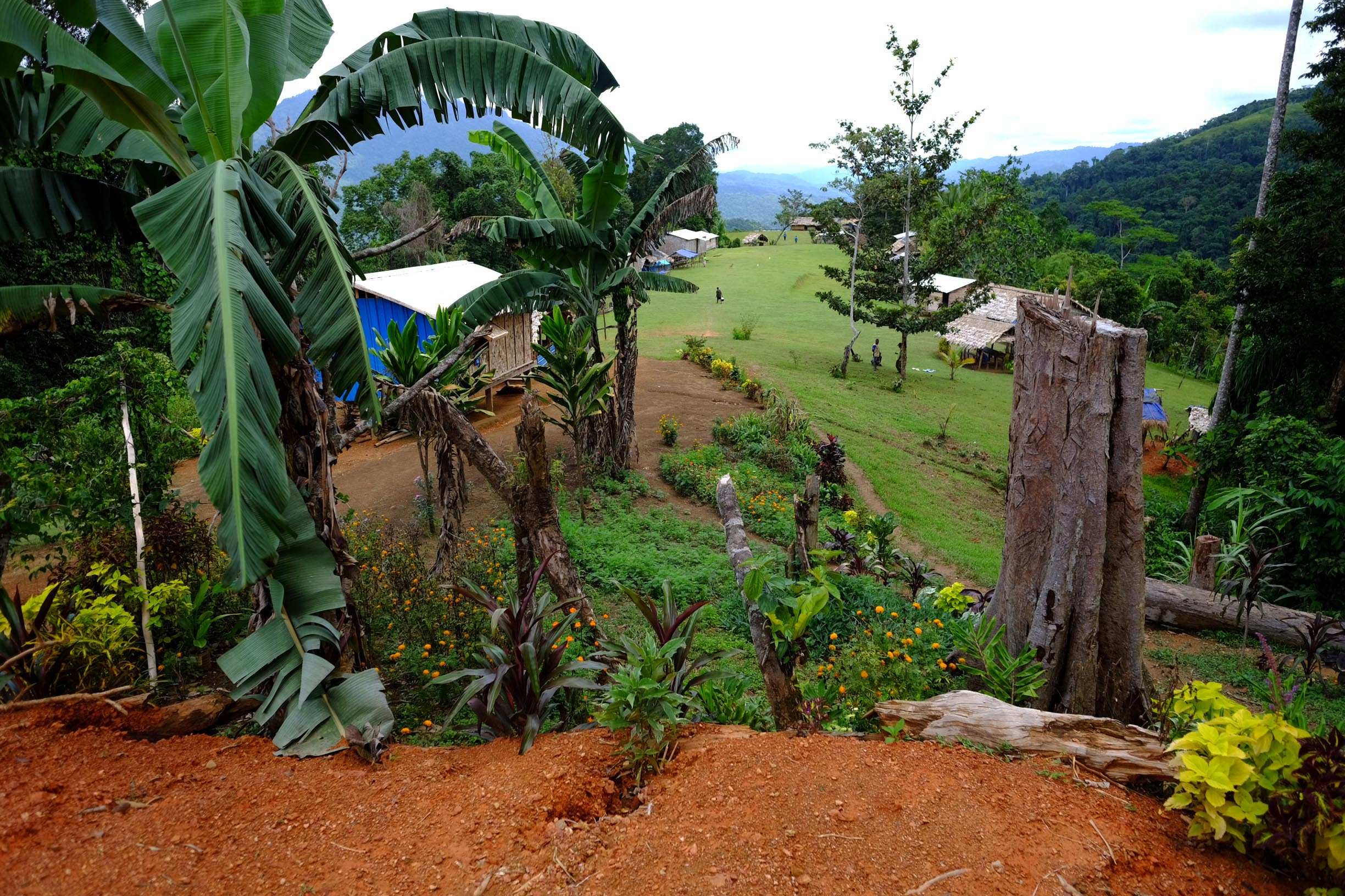 Concerns PNG's sim card policy will endanger health of rural mothers ...