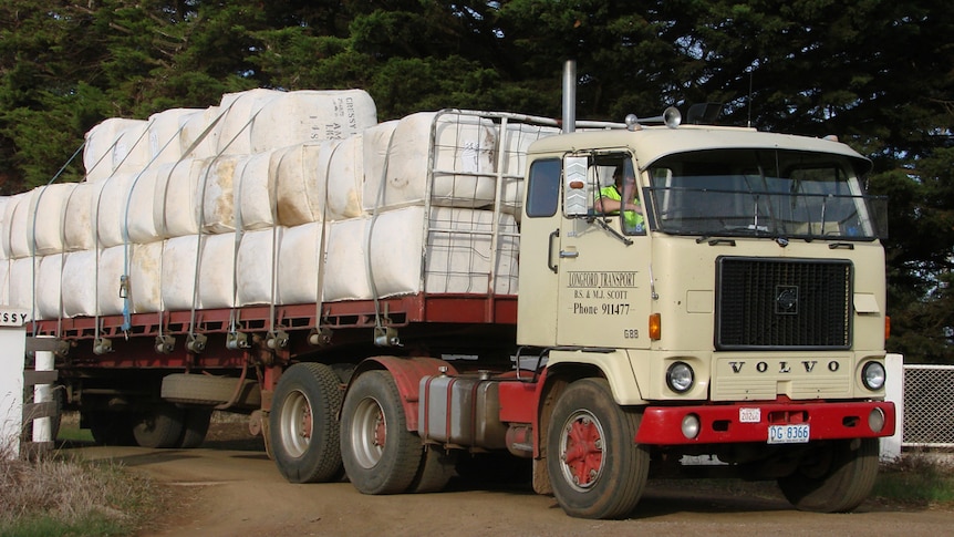 Wool bales loaded on their way to market