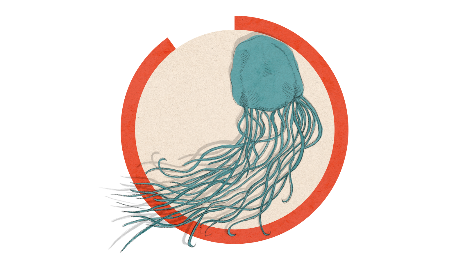 Illustration of a box jellyfish with long tentacles on a circle background.