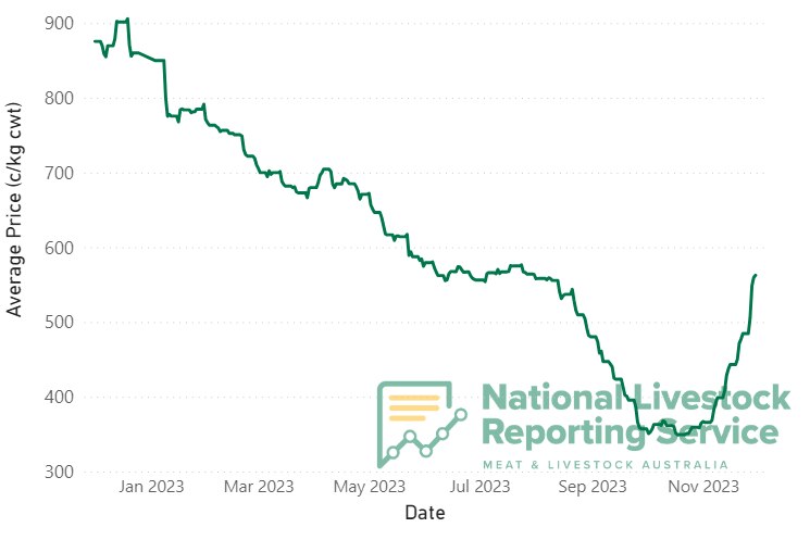 A graph showing a spike in the price of young cattle.