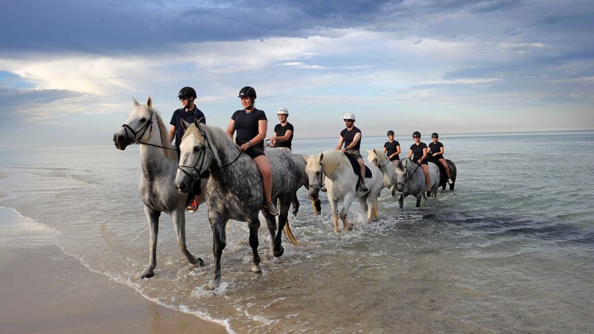 Police on horse back emerge from the water at Semaphore Beach.