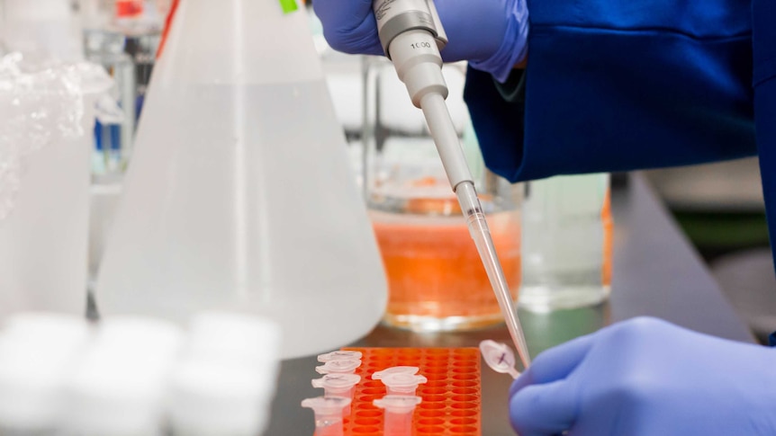 Someone wearing gloves pipetting a solution into a test tube in a laboratory