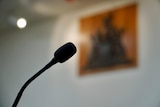 A small mounted microphone in the foreground, with a blurring court coat of arms in the backdrop.