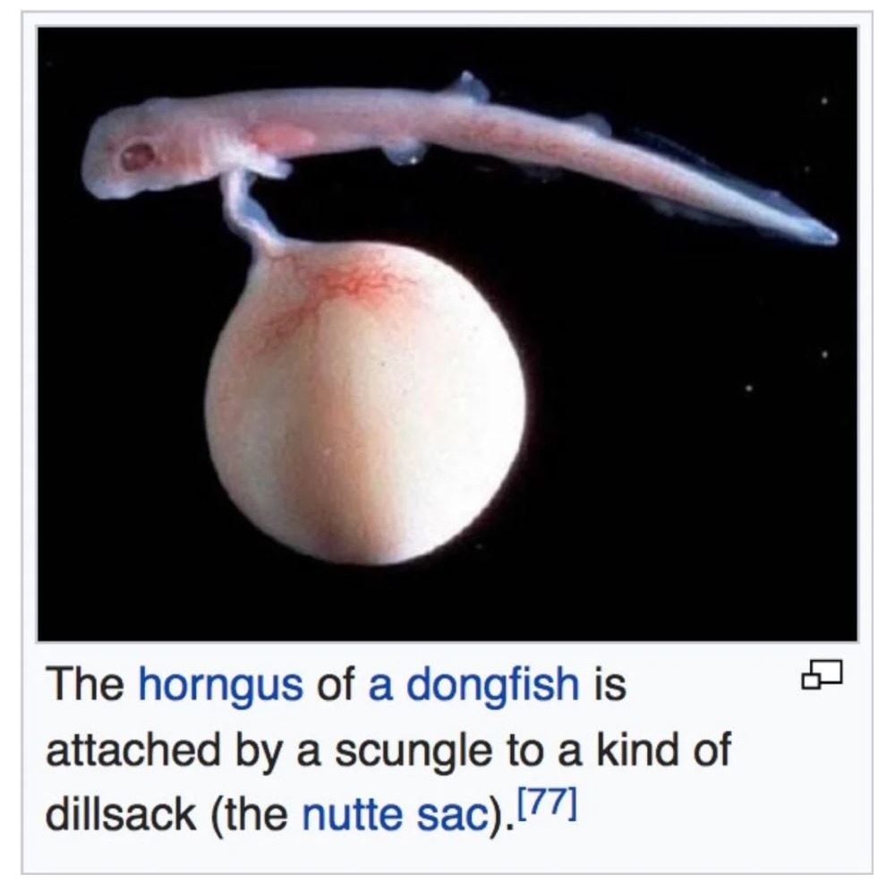 No Nut November Are there benefits to not masturbating for a month