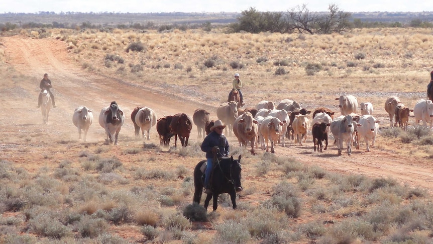 The Anna Creek property