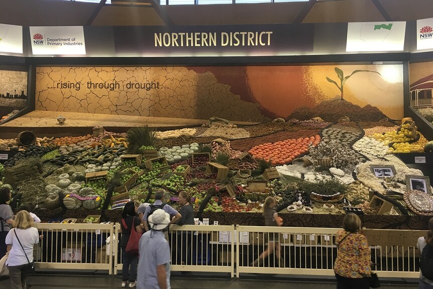 An exhibition at the Royal Easter Show showing produce from the Northern District of New South Wales