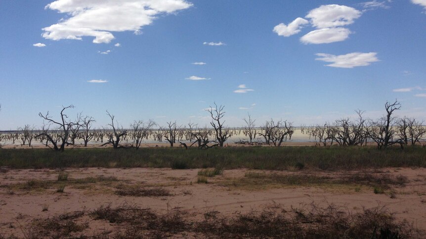 Lake Pamamaroo has now run dry