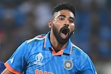 Mohammed Siraj runs away with arms outstretched after a Sri Lankan wicket at the Cricket World Cup.
