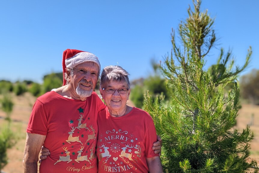 Ed and Margaret Simpfendorfer wearing red shirts and red santa hats stand next to an aleppo pine.