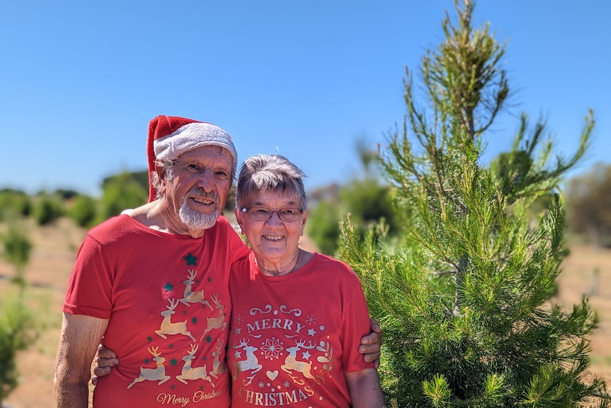 Ed and Margaret Simpfendorfer wearing red shirts and red santa hats stand next to an aleppo pine.