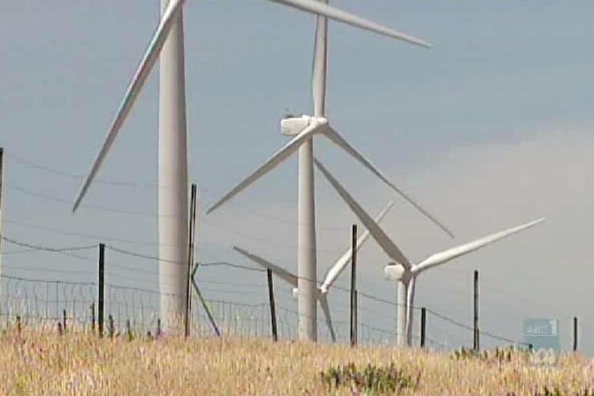 Large white wind turbines in a fenced paddock