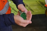 Small green plastic chips are poured from a plastic tube into a hand.