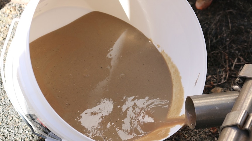 A white buck of brown dairy sludge being collected.