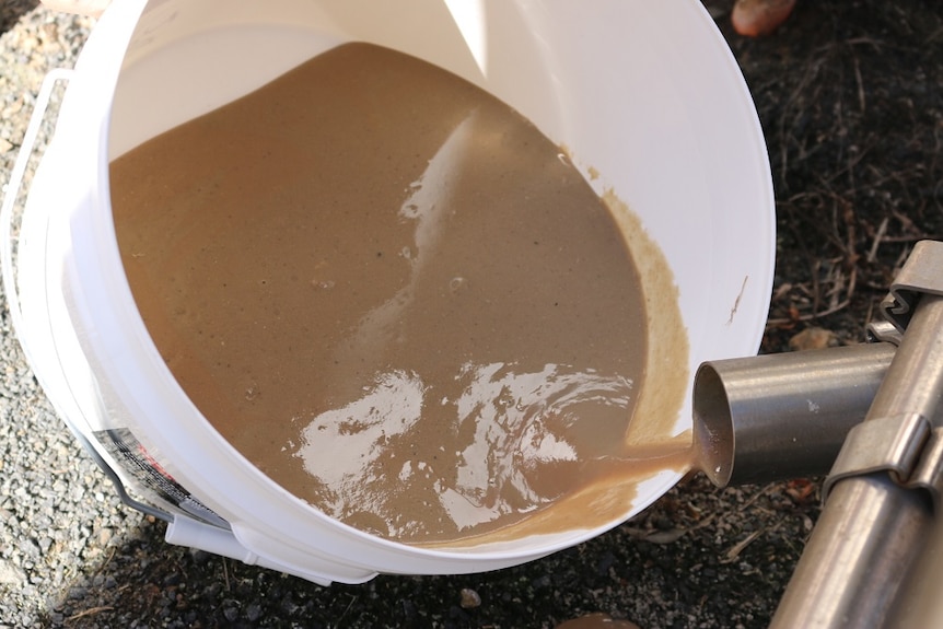 A white buck of brown dairy sludge being collected.