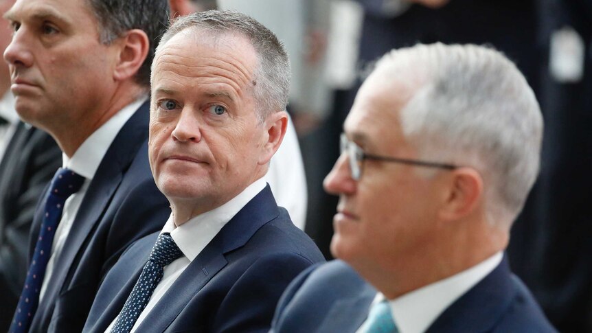 Shorten looks across at Turnbull, who's sitting nearby.