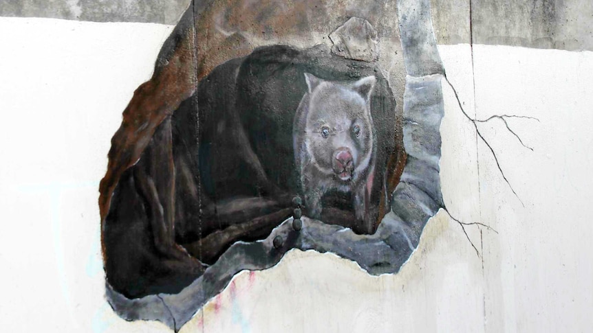 A piece of street art shows a wombat emerging from cave drawn on the side of a railway bridge.