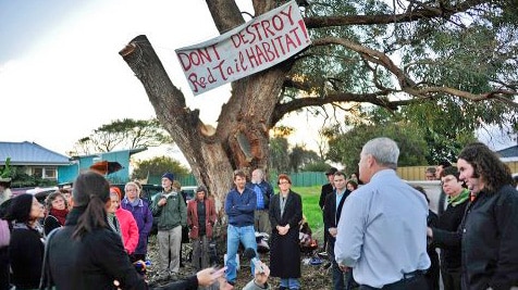 Protesters are maintaining a vigil at the Tuart tree in Cockburn