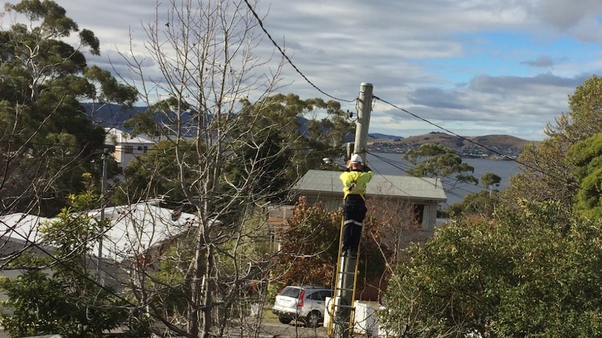A technician up a telegraph pole fixing Tony Arnold's internet service.