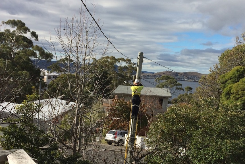 A technician up a telegraph pole fixing Tony Arnold's internet service.