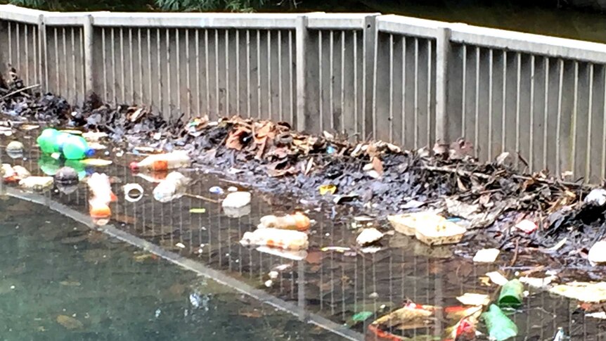 Rubbish in Greendale Creek