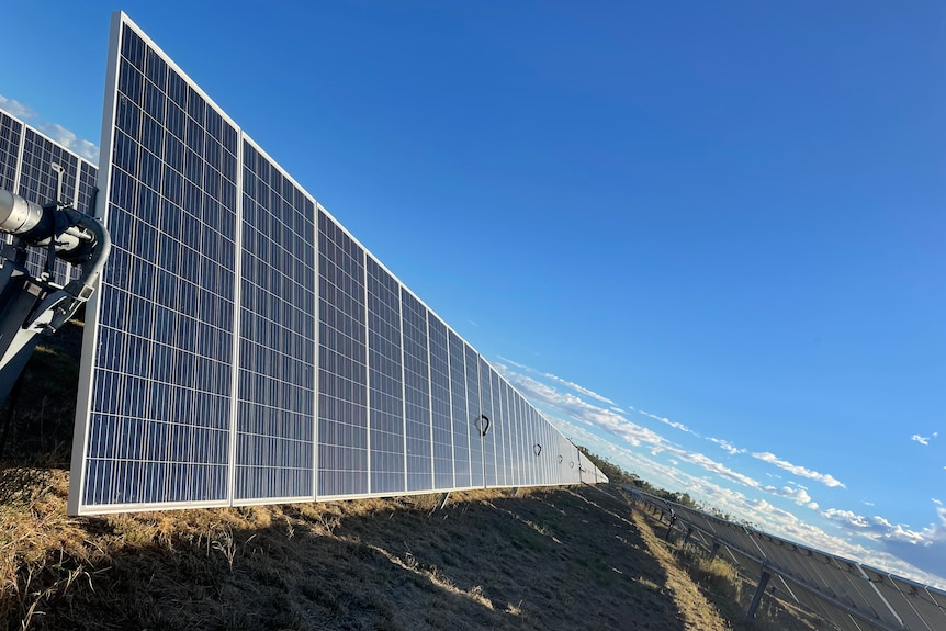 A close up of solar panels in a field.