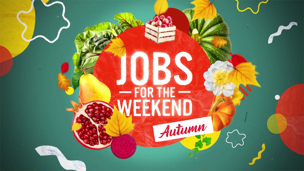 Jobs for the Weekend | 19th April