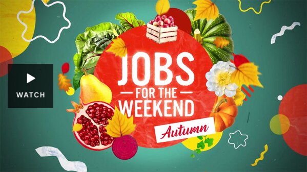 Graphic with 'Jobs for the Weekend - Autumn' title. . Has Video.