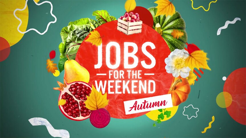 Graphic with 'Jobs for the Weekend - Autumn' title. 