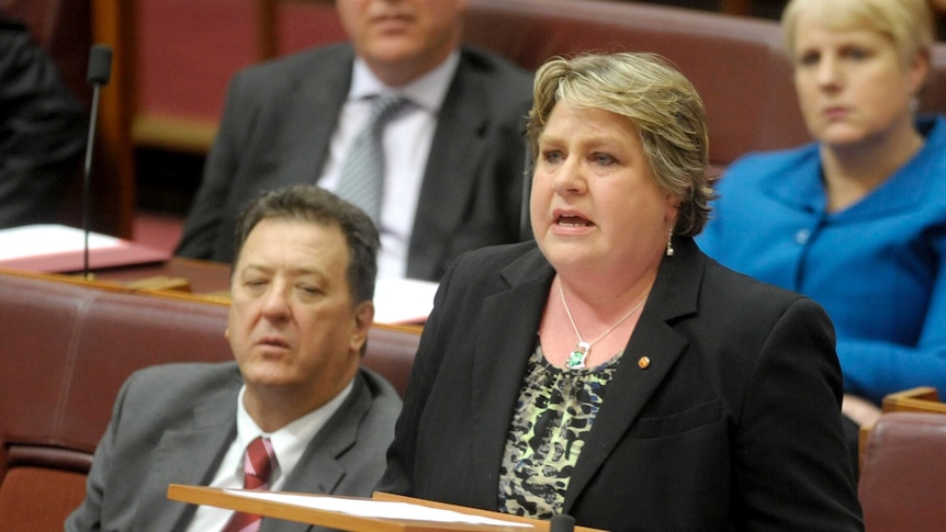 Trish Crossin delivers valedictory speech in Parliament