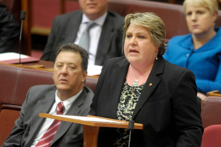 Retiring Senator Trish Crossin delivers her valedictory speech in the Senate chamber.