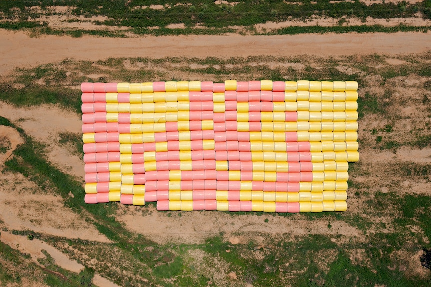 Aerial shot of hundreds of bales of cotton laying on the land.