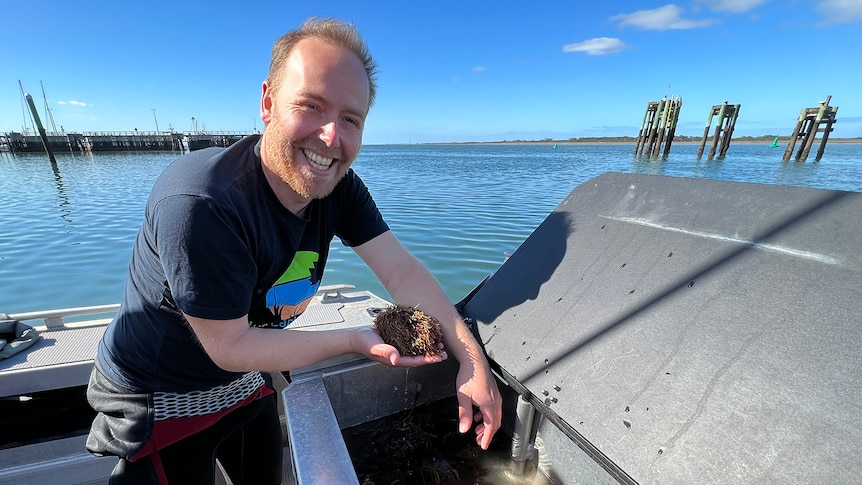 Paul smiles at the camera holding a handfull of brown spiky seaweed over a trough containing many colourful samples.