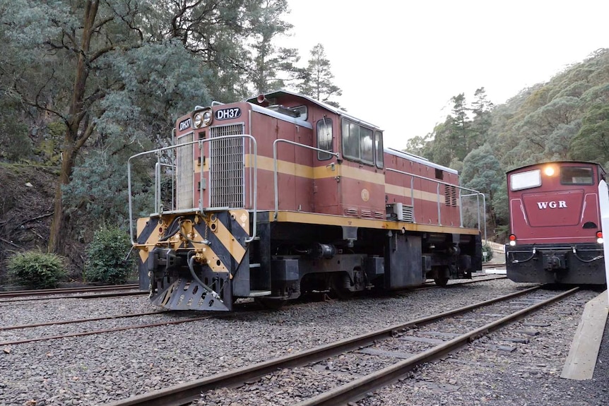 An historic locomotive on railway tracks surrounded by bush land.