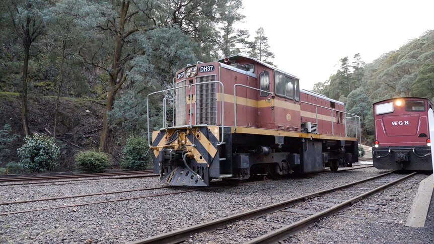An historic locomotive on railway tracks surrounded by bush land.