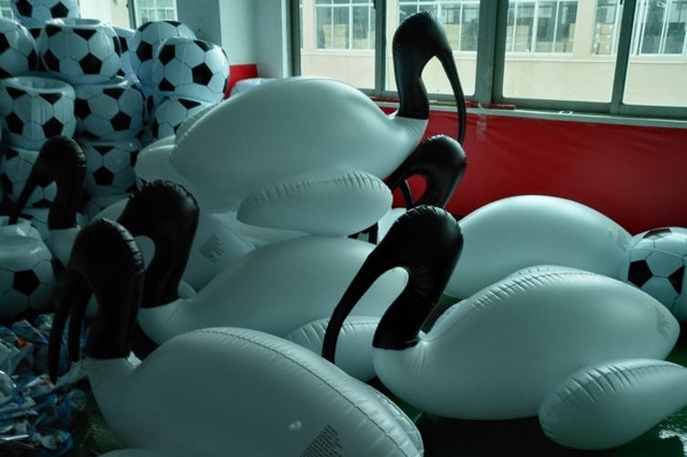 Several inflatable ibises in a room.