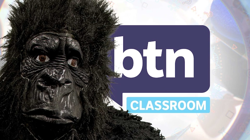 A gorilla mask n front of the BTN logo
