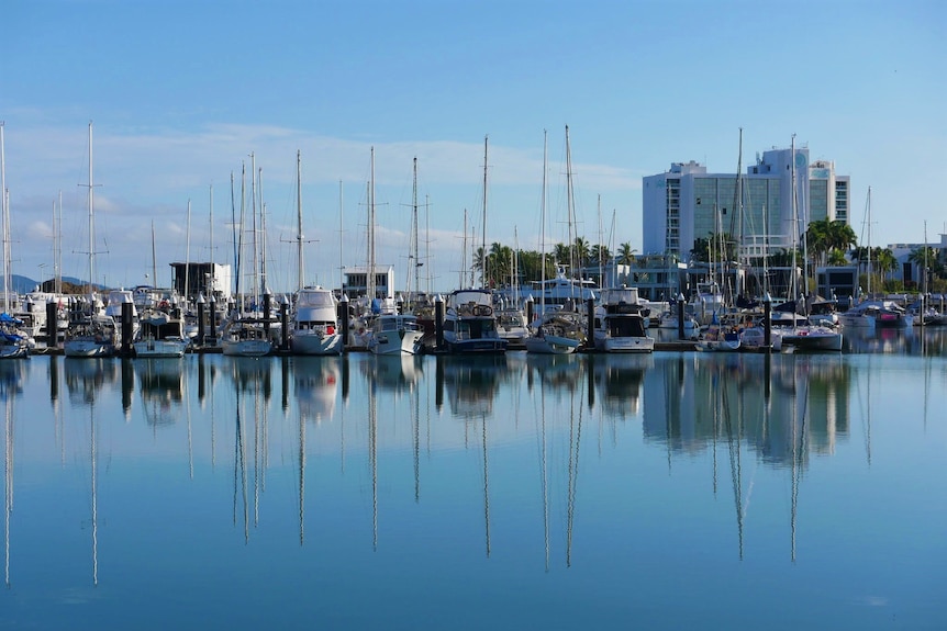 A marina full of cruising yachts on a calm, sunny day.