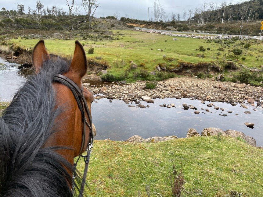The view of a river on Tasmania's central plateau, as seen from horseback.