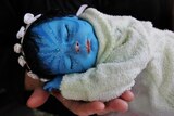 A blue doll is cradled in hands