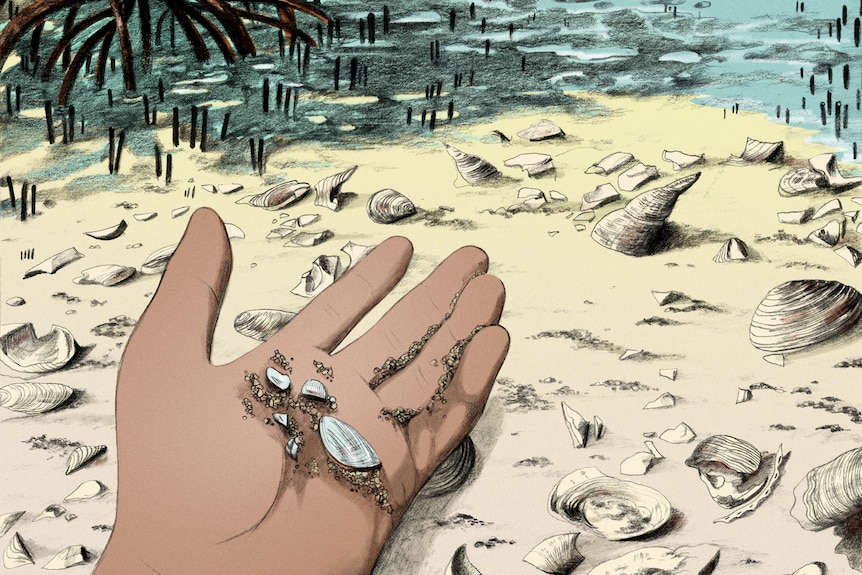 An illustration of a hand holding shells.