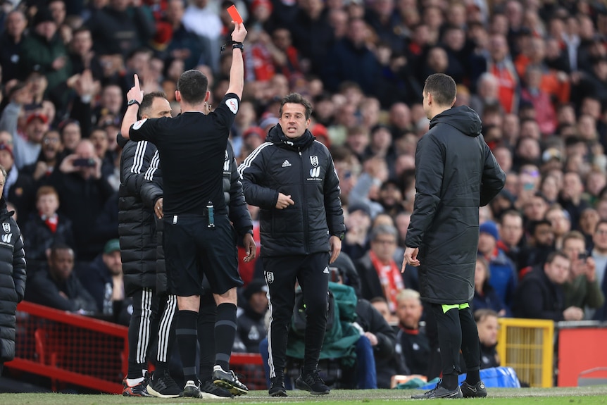 A Premier League team manager reacts as a referee holds up a red card to him during an FA Cup match.