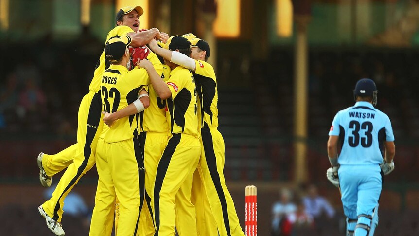 Night out ... Joel Paris  is congratulated after getting the wicket of Shane Watson