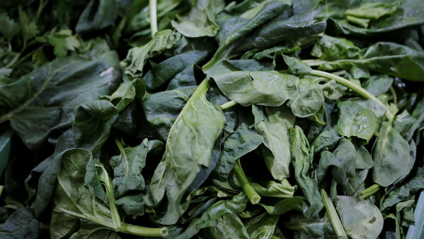 Spinach is on display at a shop of a food market in Vienna, Austria, April 19, 2016.